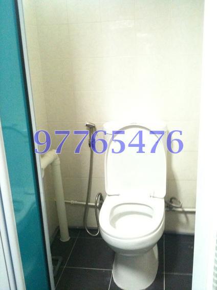 Blk 1 Beach Road (Kallang/Whampoa), HDB 3 Rooms #164102062